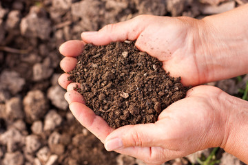 Soil in hands