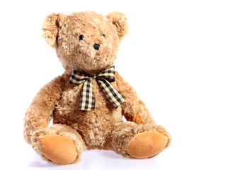Teddy bear