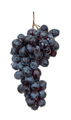 Black grape