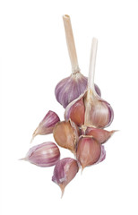 Garlic isolated on white