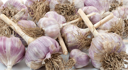 Natural fresh garlic
