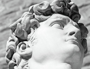 head of famous statue of David by Michelangelo