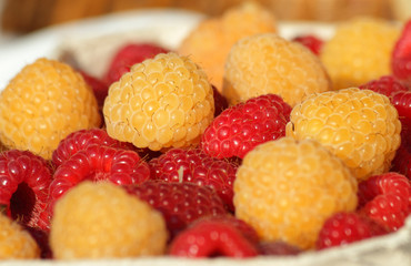 yellow and red raspberries