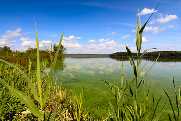 Fototapeta na wymiar landscape with lake and sky