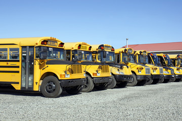 School bus fleet - 35542492