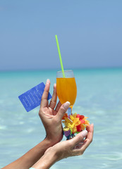 Welcome to the paradise