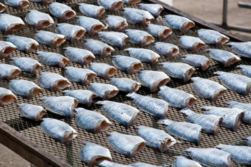 dried fish for sale