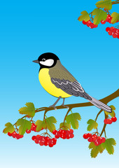 tit on a viburnum branch with  fruit and leaves