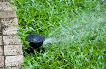 sprinkler in yard