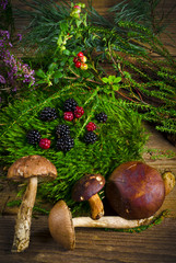 Wilde Brombeeren und Waldpilze