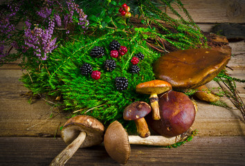 Wilde Brombeeren und Waldpilze