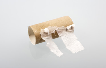 toilettenpapierrolle