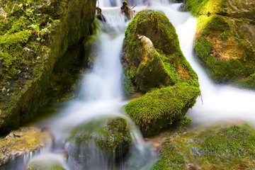 Green stones in mountain river