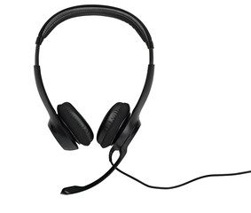 Audio headset (clippin path )