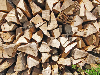 firewood
