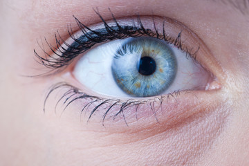 Close-up of a beautiful female blue eye