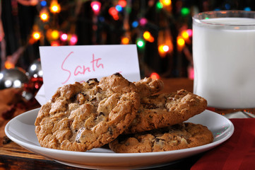 Cookies for Santa