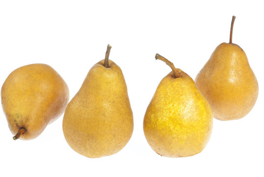 alexander pears on white