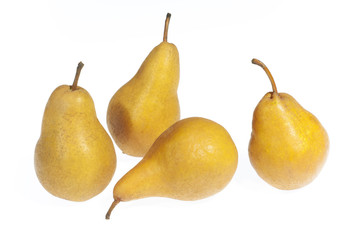 alexander pears on white