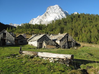 Fototapeta na wymiar Alpe Veglia