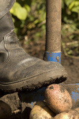 Worker boots shovel