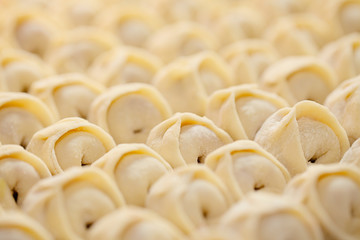 russian dumplings, meat wrapped with pastry.