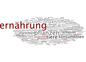 Ernährung