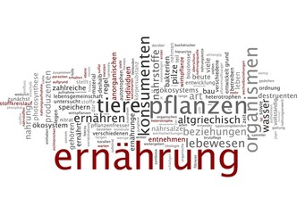 Ernährung
