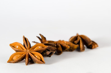Sternanis