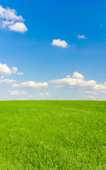 Outdoor Landscape Field