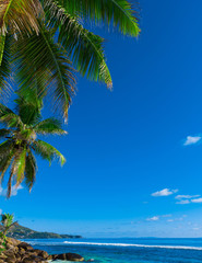 Scene Overhanging Sea