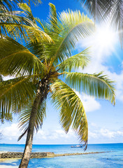 Plakat View on a Paradise Tropical Landscape