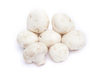 Champignon mushrooms isolated on white