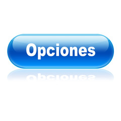 Boton alargado brillante texto Opciones