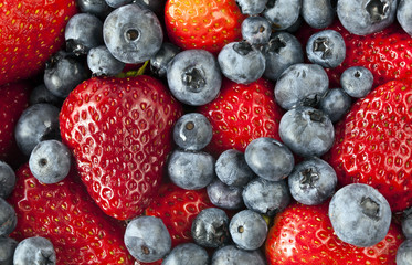 garden strawberry and blueberries