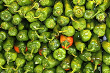 Obraz na płótnie Canvas Green peppers La Boqueria food market in Barcelona Catalonia Spa