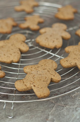 Gingerbread man