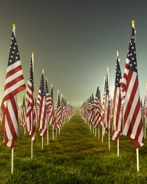 Flags in the Healing Fields for 9/11