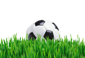 Soccer ball in green grass over white