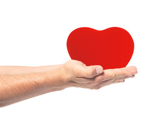 red heart in hands isolated on white background