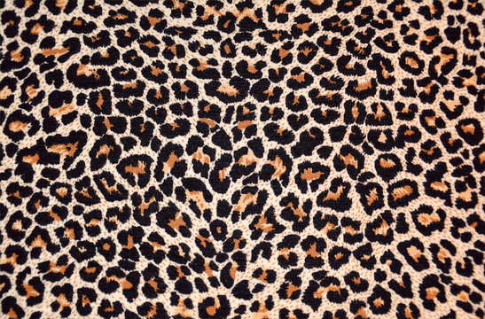 abstract texture of leopard fur (skin)