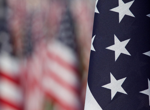 Flags in the Healing Fields for 9/11