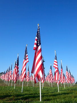 Flags in the Healing Fields for 9/11