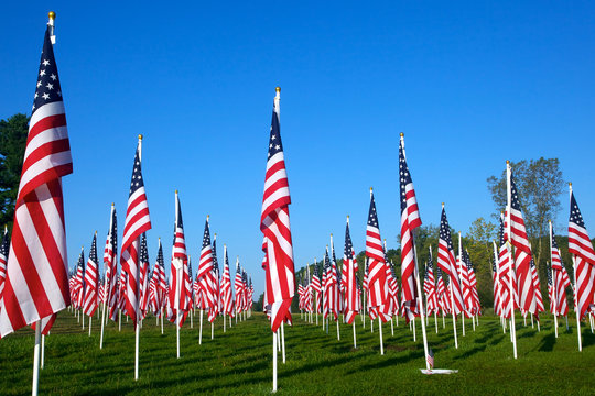 Flags in the Healing Fields for 9/11
