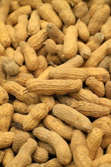 Peanuts