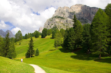 Fototapeta na wymiar Mont De Stevia - Dolomiten - Alpen