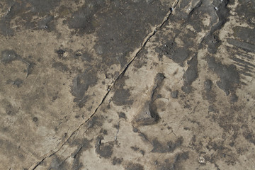 Texture