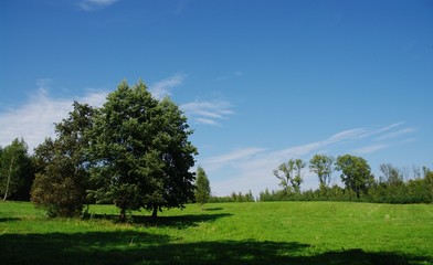 Piękny wiejski krajobraz