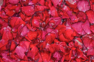 Red Petals