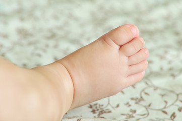 baby's  foot